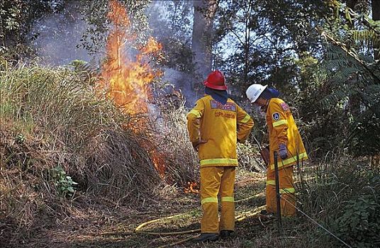 火焰,灌丛火灾,志愿者,消防员,消防,港口,澳大利亚