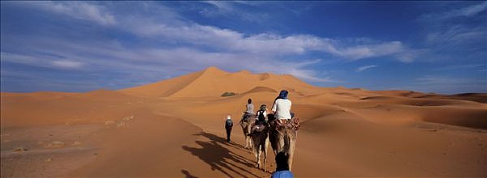 摩洛哥,塔菲拉勒特,区域,走,却比沙丘