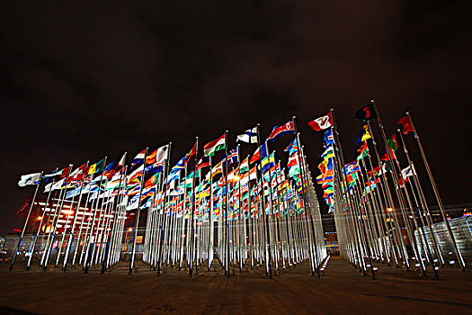 2010年上海世博会-国旗