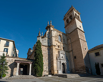 文艺复兴,教堂,寺院,格拉纳达,安达卢西亚,西班牙,欧洲