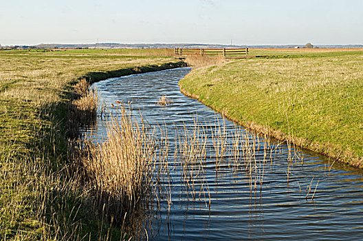 湿地,排水,沟,草场,英格兰,英国,欧洲