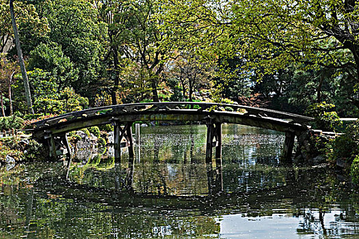 桥,水,花园
