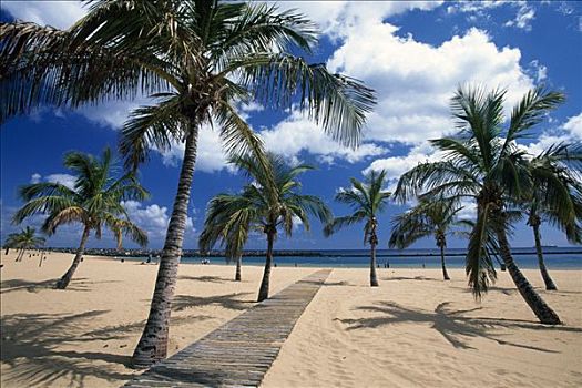 海滩,圣安德烈斯岛,特内里费岛,加纳利群岛,西班牙,欧洲