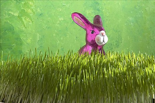 复活节兔子,坐,草