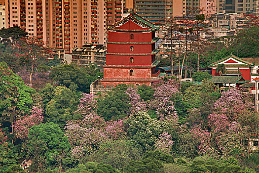 镇海楼,五层楼