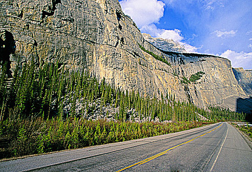 冰原大道,哭,墙壁,班芙国家公园,艾伯塔省,加拿大