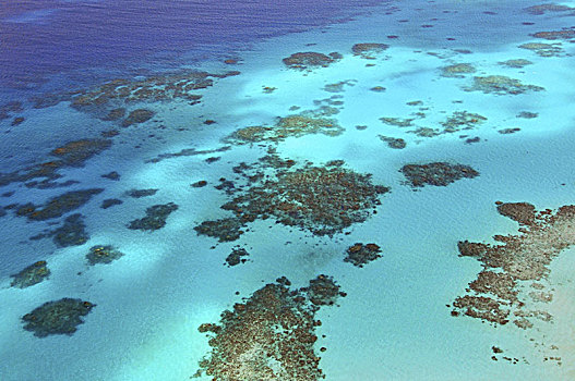 航拍,大堡礁,直升飞机,昆士兰,澳大利亚