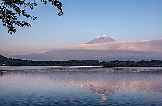 日本,静冈,山,富士山,湖,大幅,尺寸