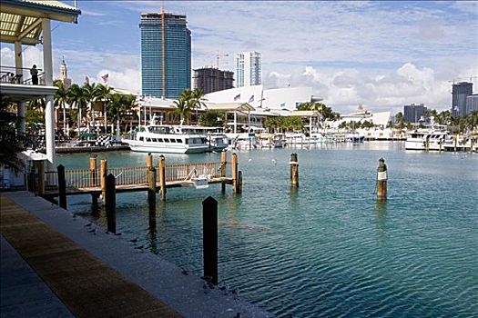 港口,迈阿密,佛罗里达,美国