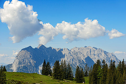 悬挂,滑翔伞,上方,风景,提洛尔,奥地利,巴伐利亚,德国,欧洲