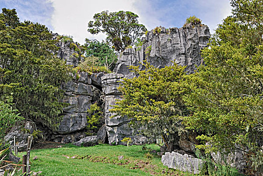 石灰石,洞穴,北岛,新西兰