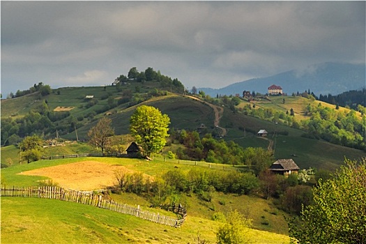 春景,喀尔巴阡山脉地区