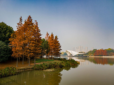 深秋的无锡蠡湖金城湾湿地