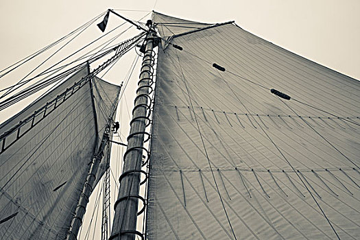马萨诸塞,纵帆船,节日,帆,桅杆