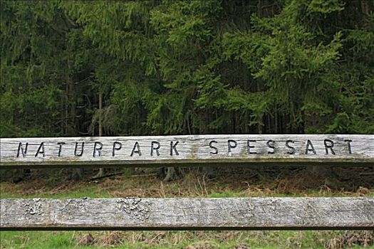 风化,木制长椅,铭刻,施佩萨特,自然保护区,黑森州,德国,欧洲