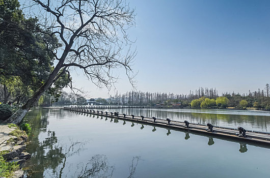 西湖美景