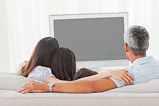 家庭,看电视,一起,沙发,在家