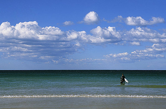 澳大利亚,靠近,悉尼,男人味,海滩,冲浪