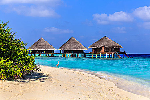 马尔代夫绚丽岛海岛风光水上屋