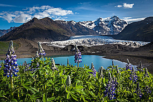 风景,冰河,山,春花,斯卡夫塔菲尔国家公园,冰岛
