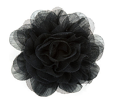 黑色,花,玫瑰,蕾丝