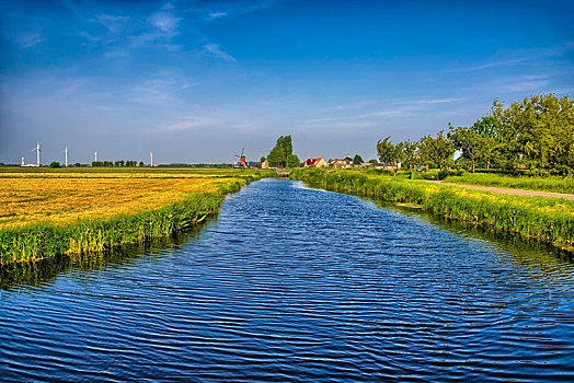 荷兰,风景,运河,草地