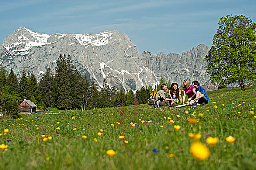 远足,坐,山地牧场,区域,施蒂里亚,奥地利,欧洲