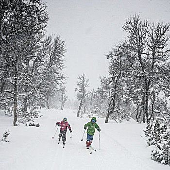 两个人,雪鞋,树林