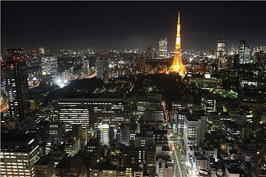 东京,城市,日本,夜晚