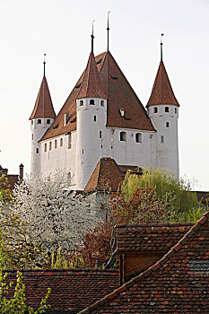 城堡,图恩,伯尔尼州,瑞士,欧洲