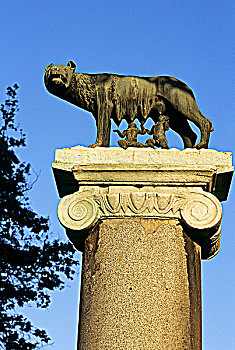 意大利,罗马,雕塑,顶端,柱子,进食,狼
