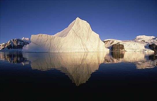 冰山,反射,海岸,南极半岛