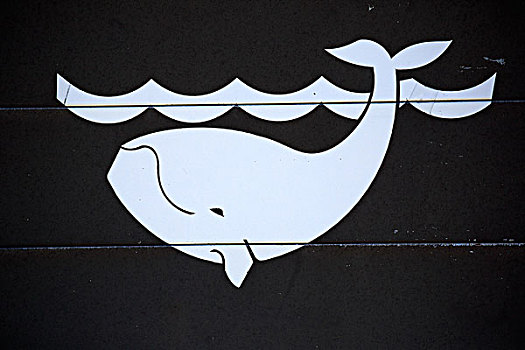 标识,观鲸,西海角,南非,非洲