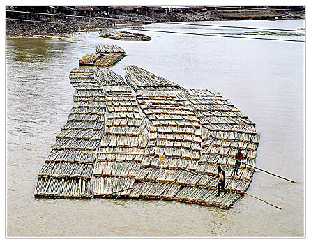 竹,潮汐,一起,筏子,河,造纸厂,孟加拉,制作,纸,七月,2006年