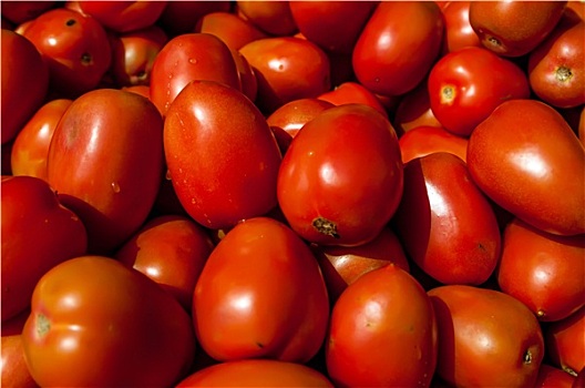 很多,红色,西红柿,背景