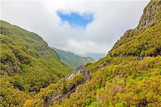 自然,风景,马德拉岛