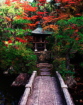 日本,京都,小,石桥,家居,神祠