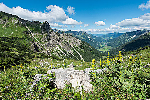 风景,阿尔卑斯山,山谷,巴特辛德朗,巴伐利亚,德国,欧洲