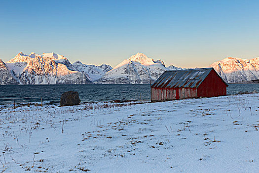 传统,红房,远眺,峡湾,阿尔卑斯山,特罗姆斯,挪威,拉普兰,欧洲