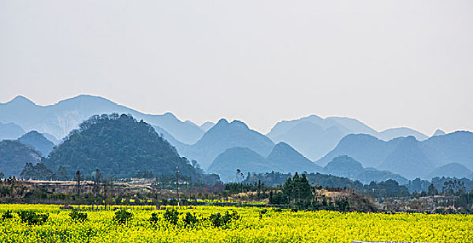 田園春色