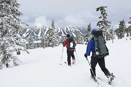 滑雪,华盛顿山,温哥华岛,不列颠哥伦比亚省,加拿大