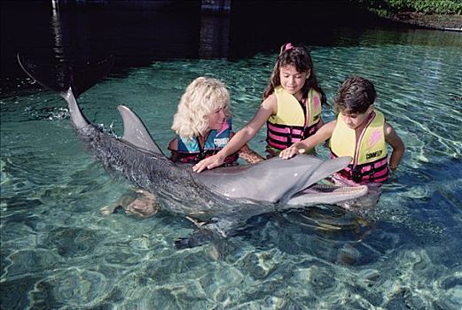 宽吻海豚,互动,孩子,海豚,追求,学习,中心,夏威夷