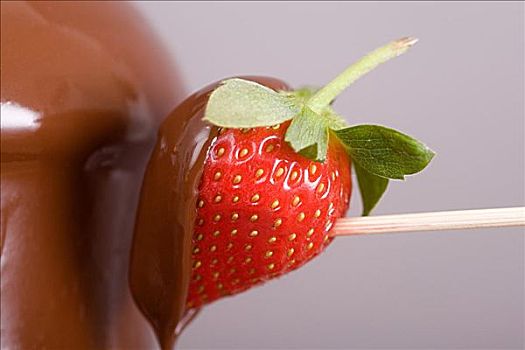 草莓,遮盖,巧克力
