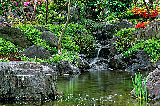 岩石,瀑布,水塘,花园