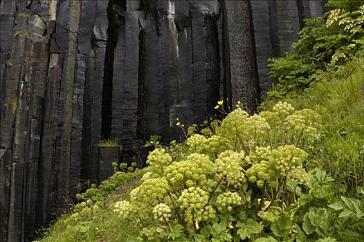瀑布,史瓦提瀑布,柱子,玄武岩,斯卡夫塔菲尔国家公园,冰岛