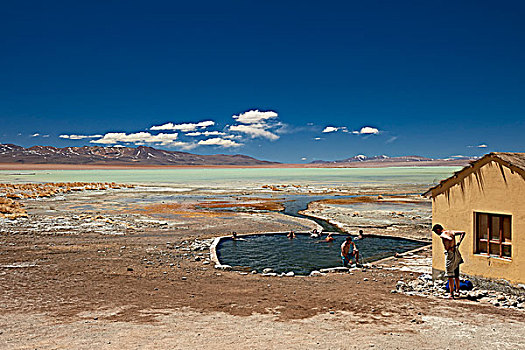温泉,盐湖,动物,安第斯山,玻利维亚