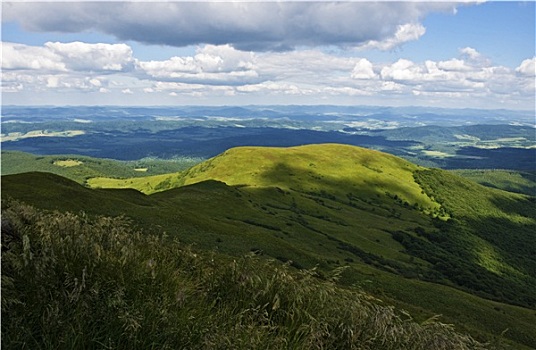 青山