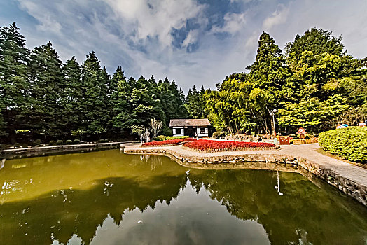 江西省九江市庐山风景区花径生态园自然景观