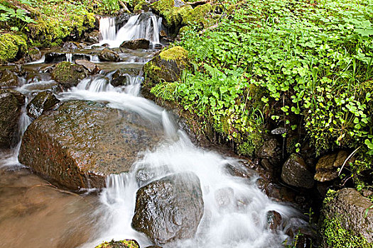 水,层叠,俯视,石头,胡德山国家森林,俄勒冈,美国
