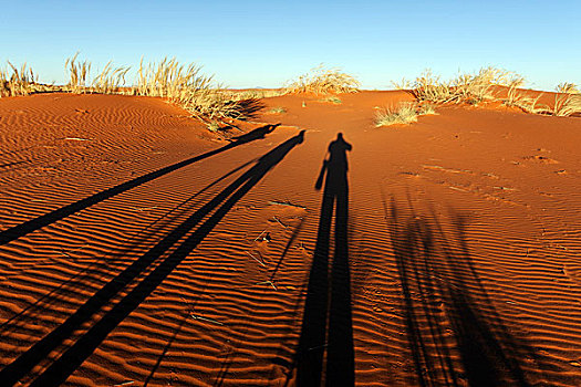 摄影师,影子,沙丘,晨光,纳米比亚,非洲